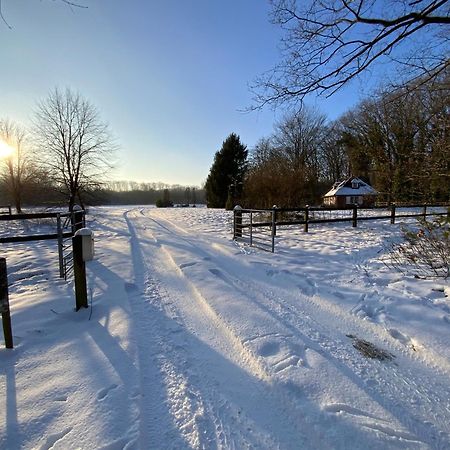 Vakantiewoning Heidebos In Het Nationaal Park Hoge Kempen Opglabbeek Екстер'єр фото
