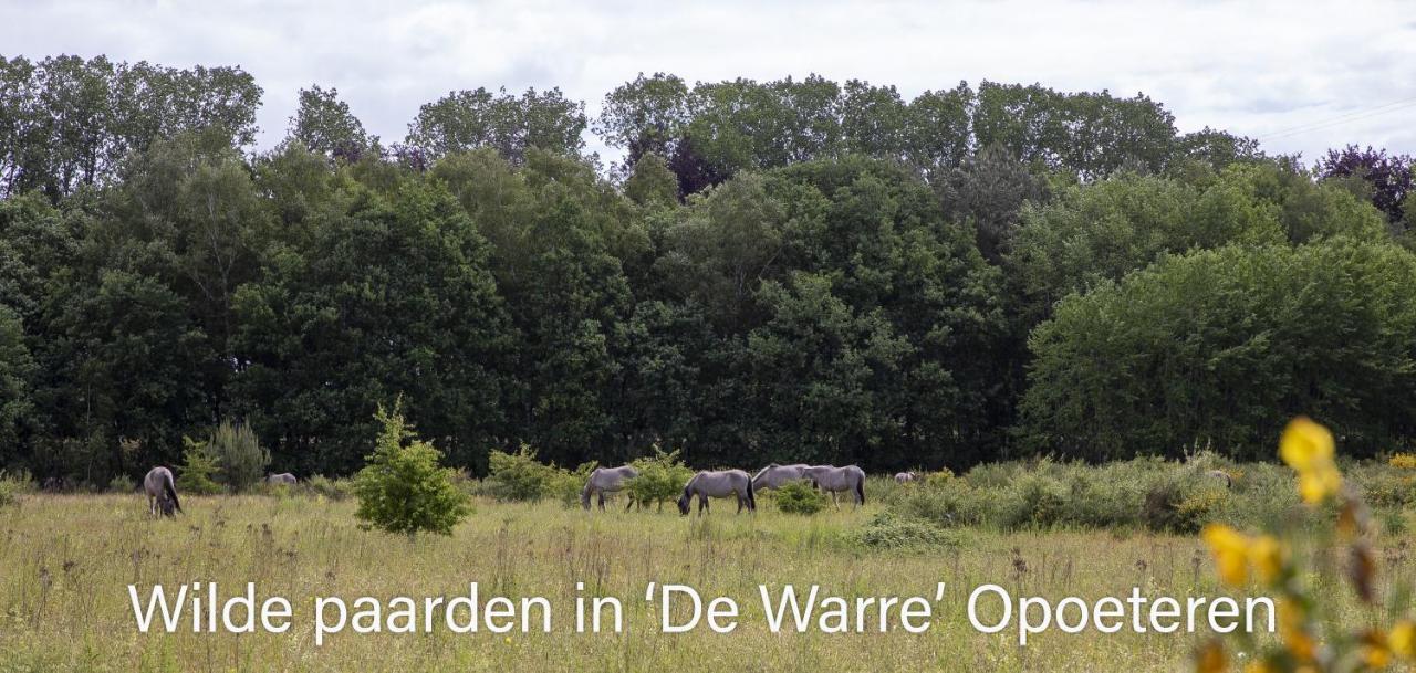 Vakantiewoning Heidebos In Het Nationaal Park Hoge Kempen Opglabbeek Екстер'єр фото