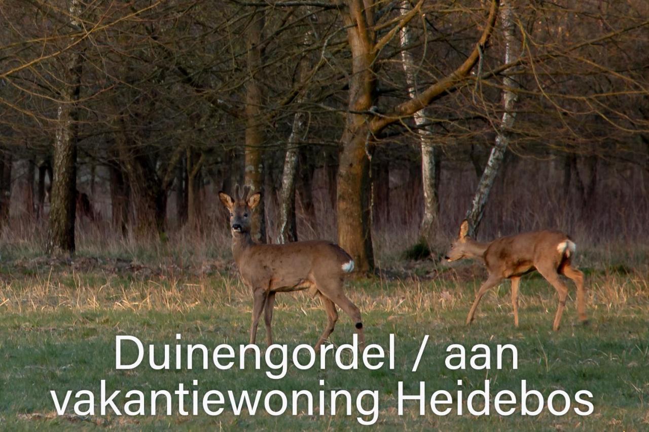 Vakantiewoning Heidebos In Het Nationaal Park Hoge Kempen Opglabbeek Екстер'єр фото