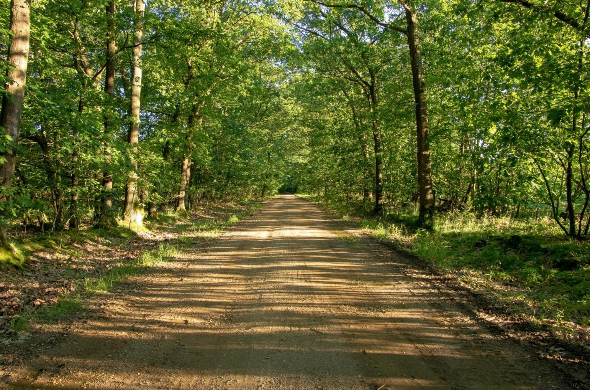 Vakantiewoning Heidebos In Het Nationaal Park Hoge Kempen Opglabbeek Екстер'єр фото
