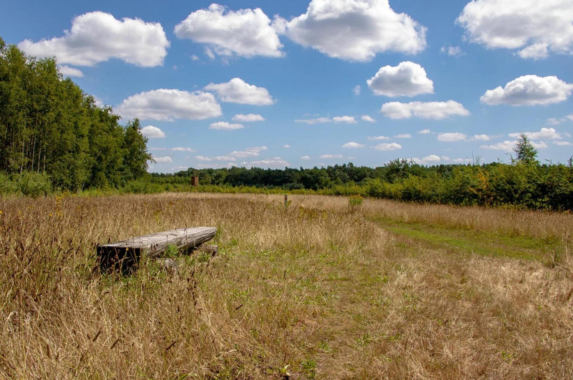 Vakantiewoning Heidebos In Het Nationaal Park Hoge Kempen Opglabbeek Екстер'єр фото