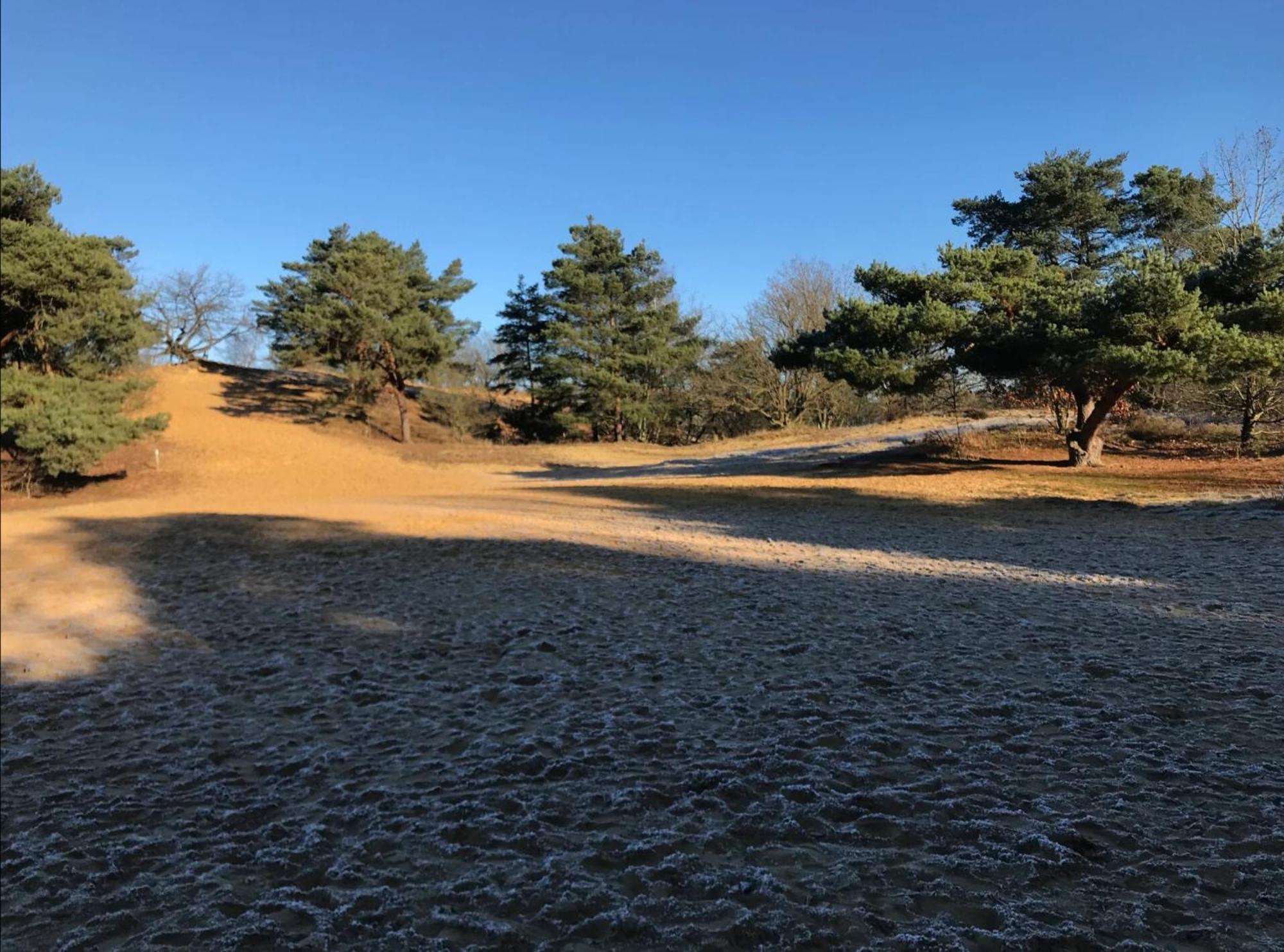 Vakantiewoning Heidebos In Het Nationaal Park Hoge Kempen Opglabbeek Екстер'єр фото