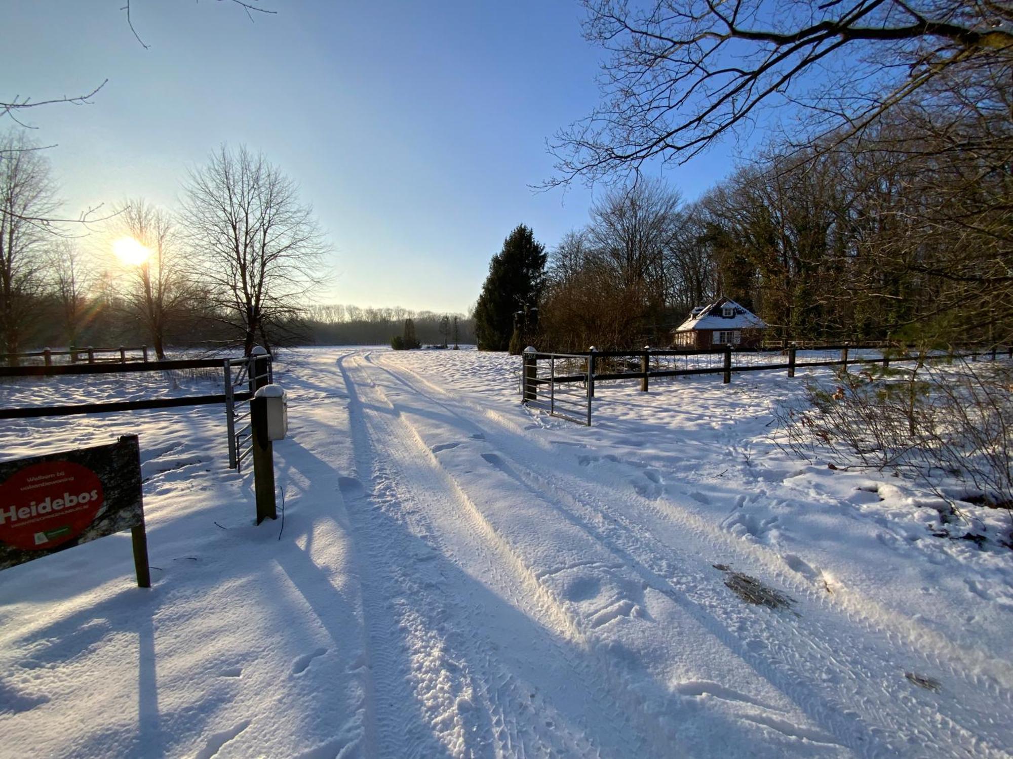 Vakantiewoning Heidebos In Het Nationaal Park Hoge Kempen Opglabbeek Екстер'єр фото