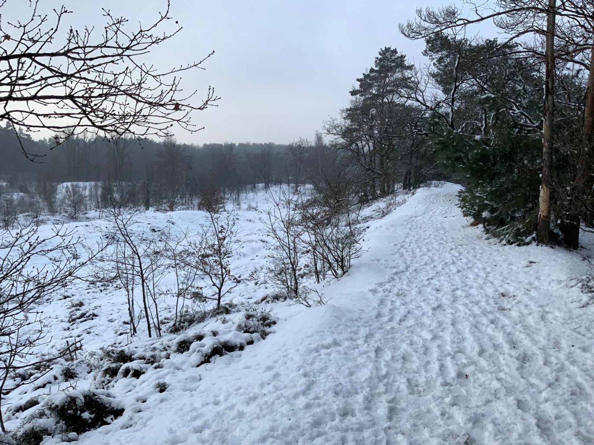 Vakantiewoning Heidebos In Het Nationaal Park Hoge Kempen Opglabbeek Екстер'єр фото